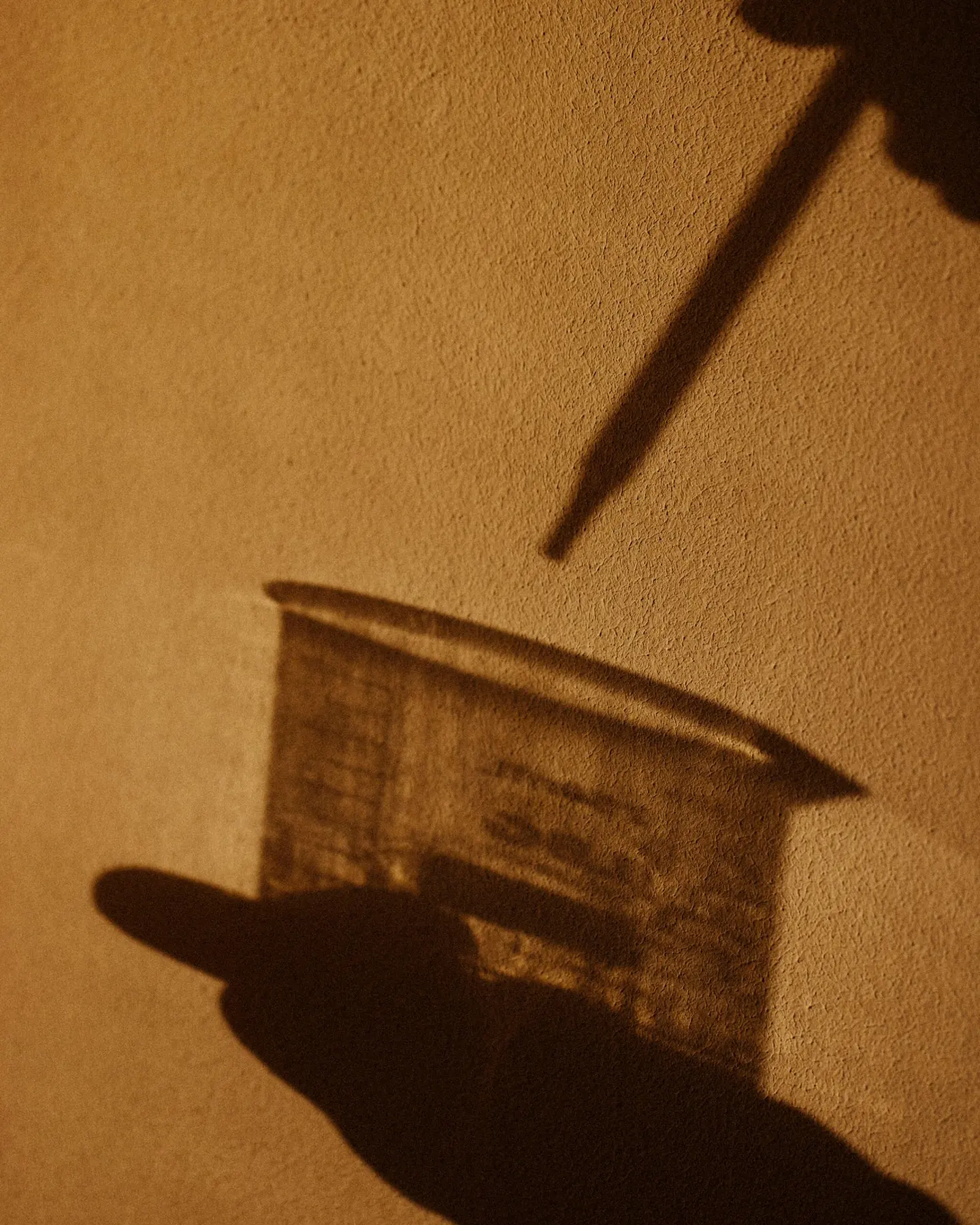 Anfas Collection image 10