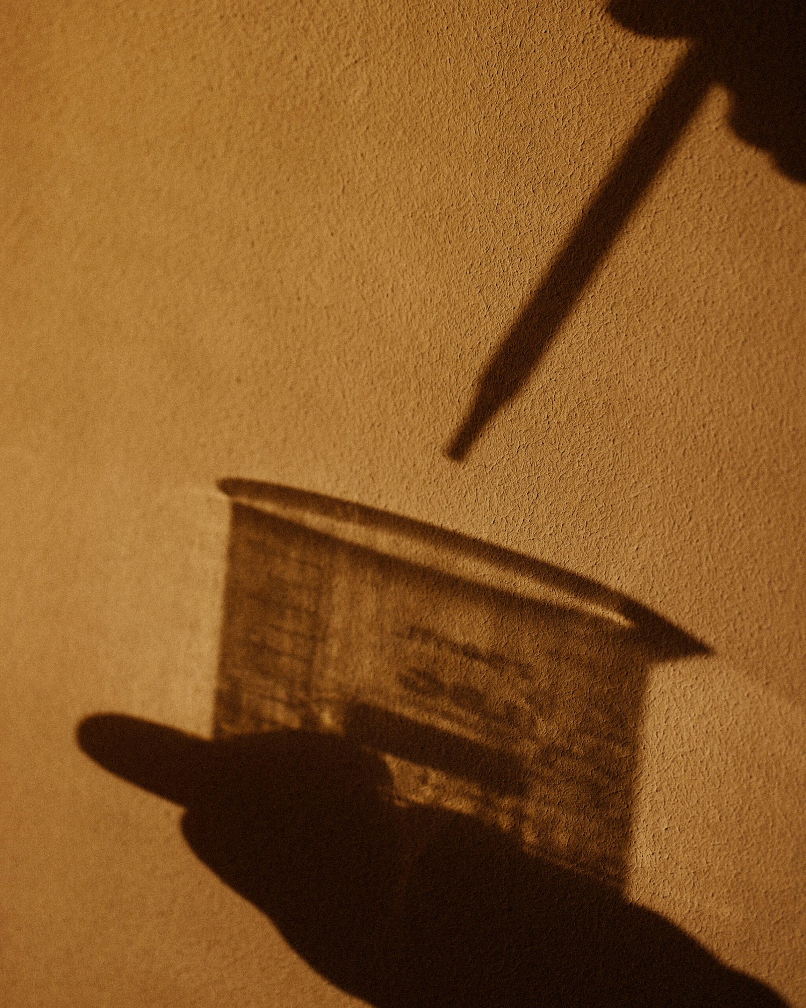 Anfas Collection image 10
