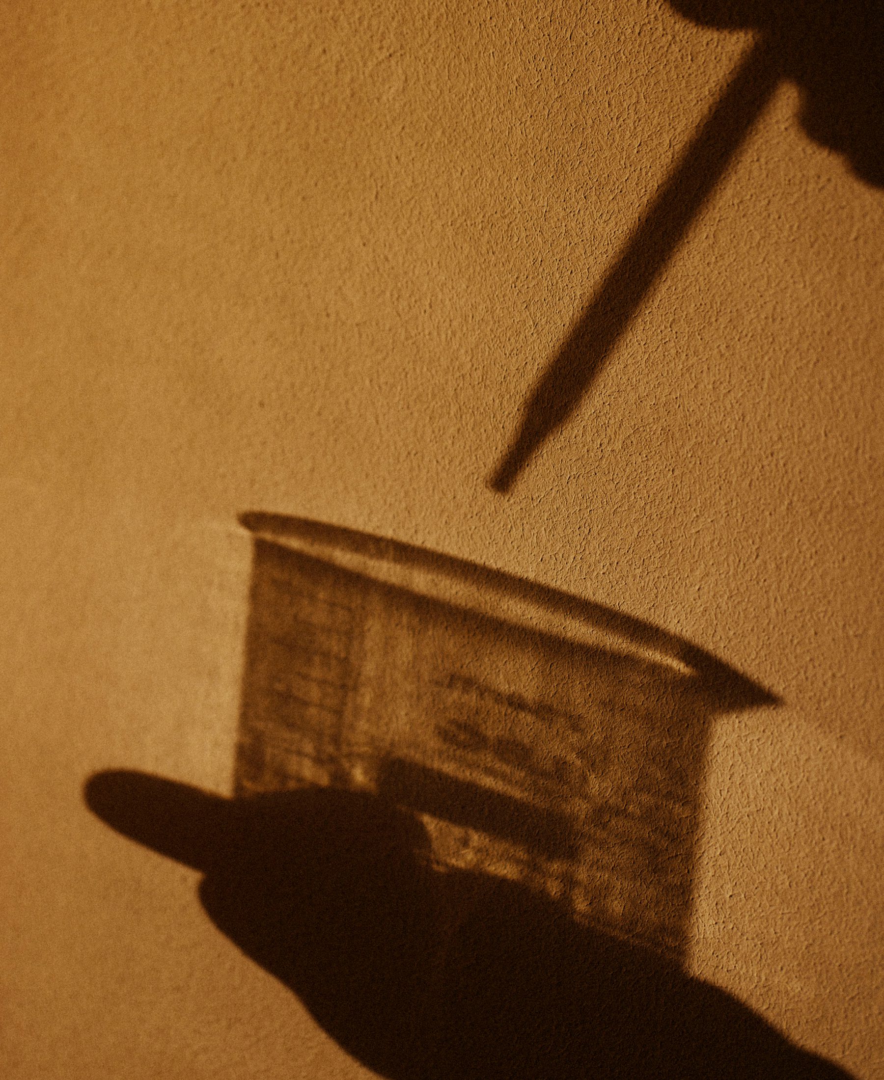 Anfas Collection image 09