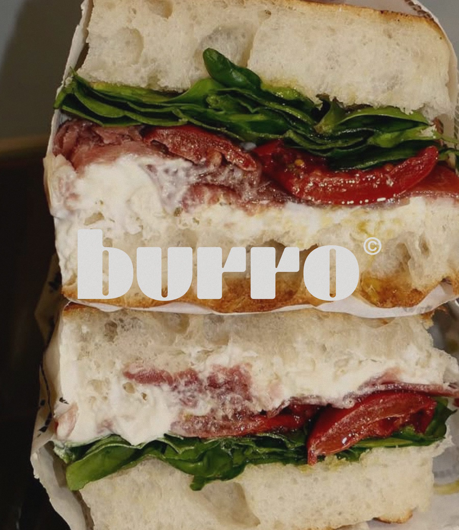 Burro Concept image 01