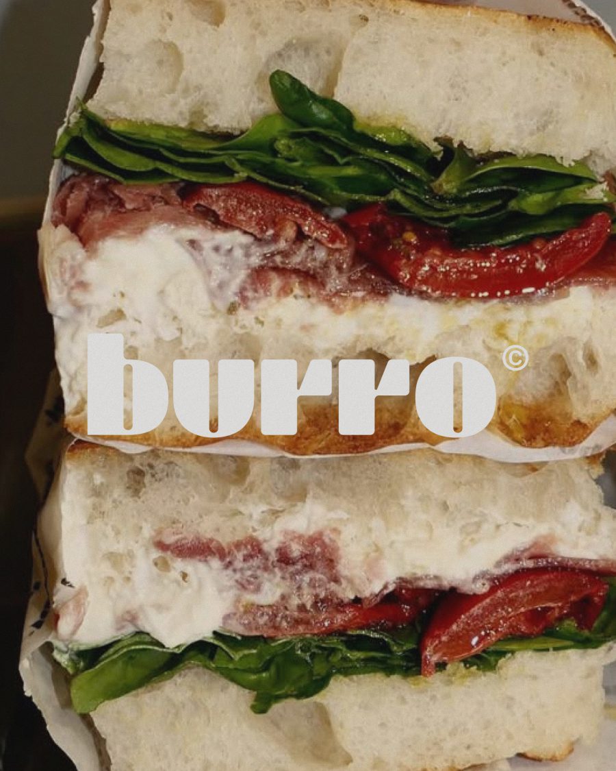 Burro Concept