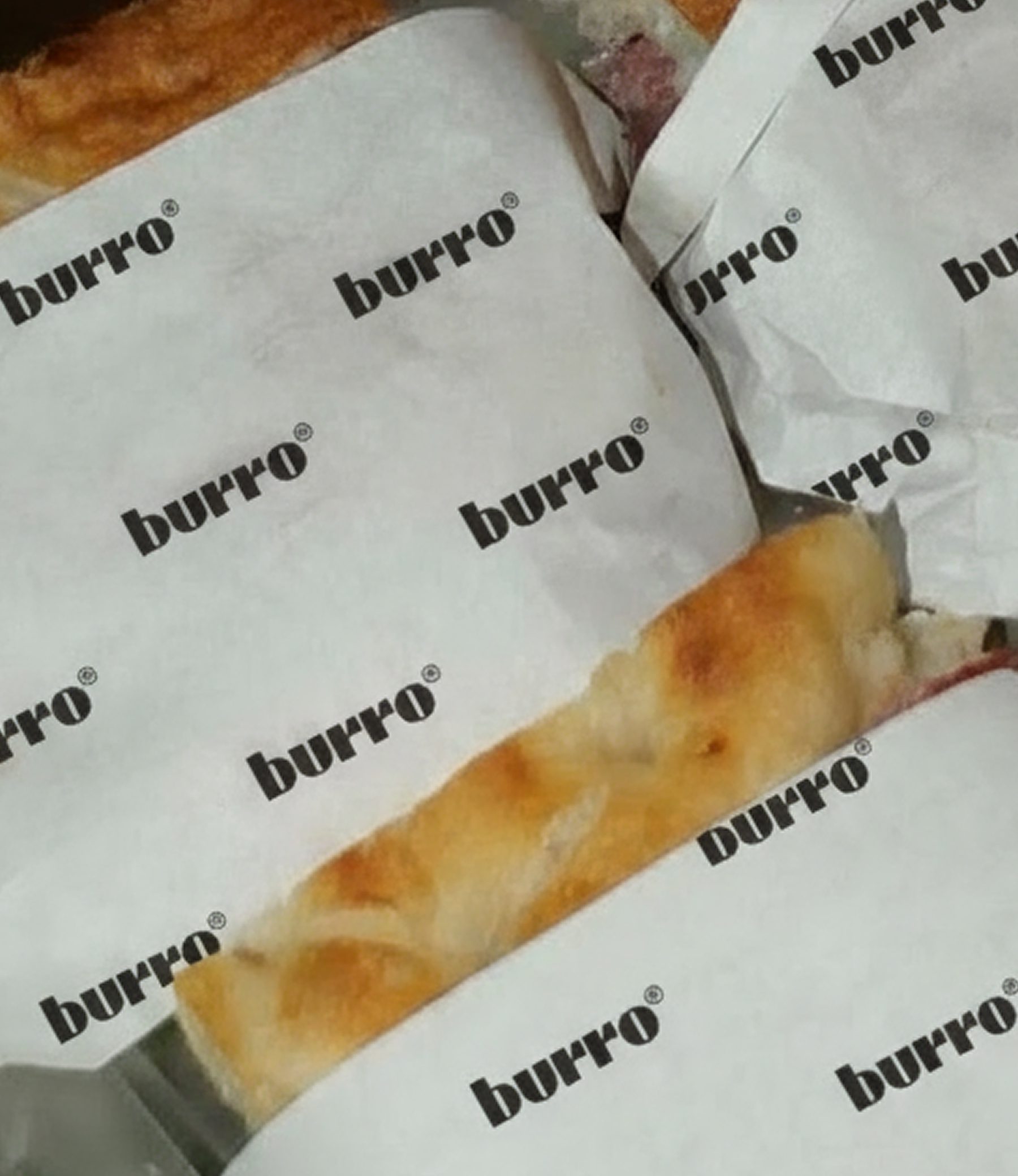 Burro Concept image 04