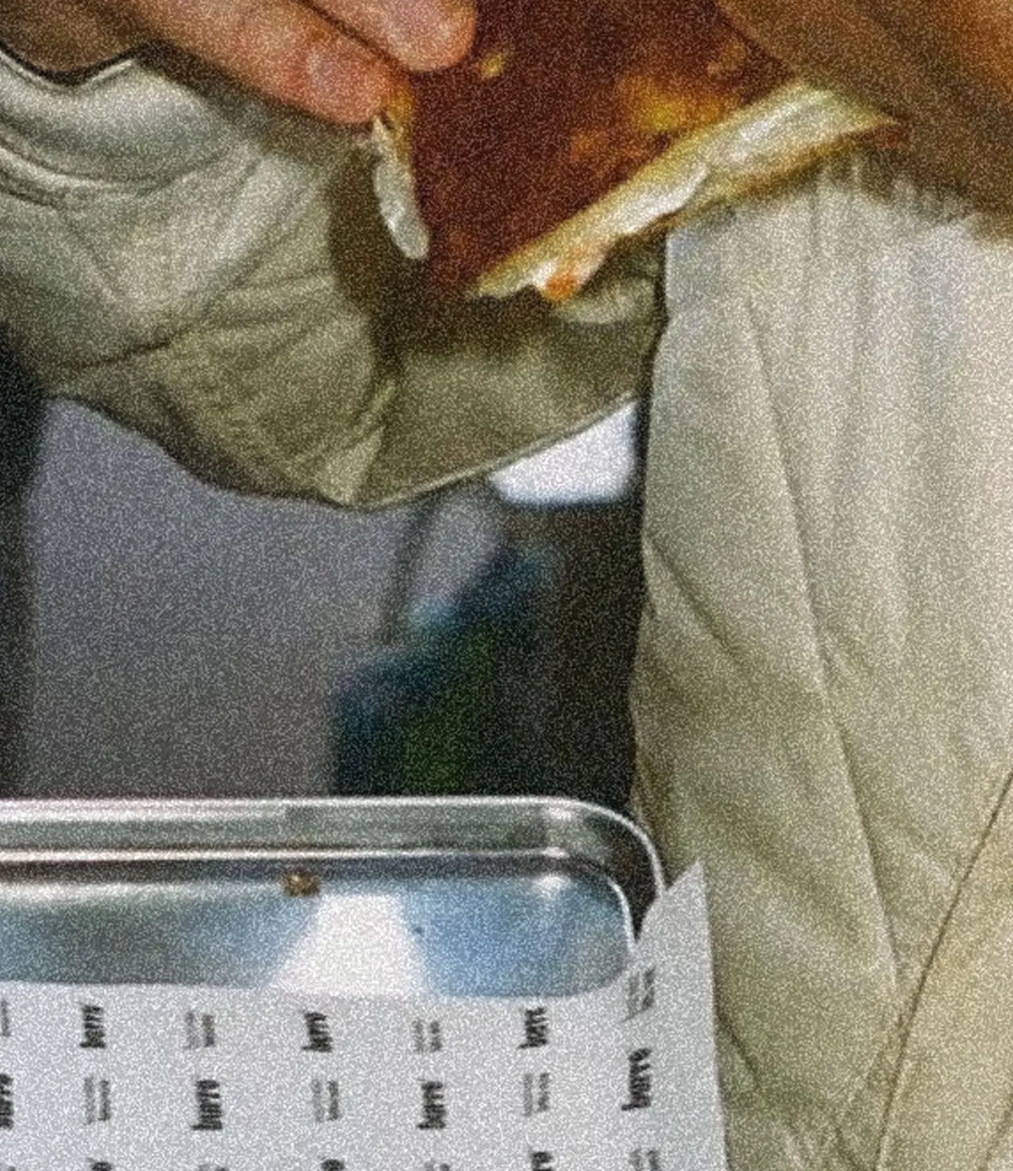 Burro Concept image 16