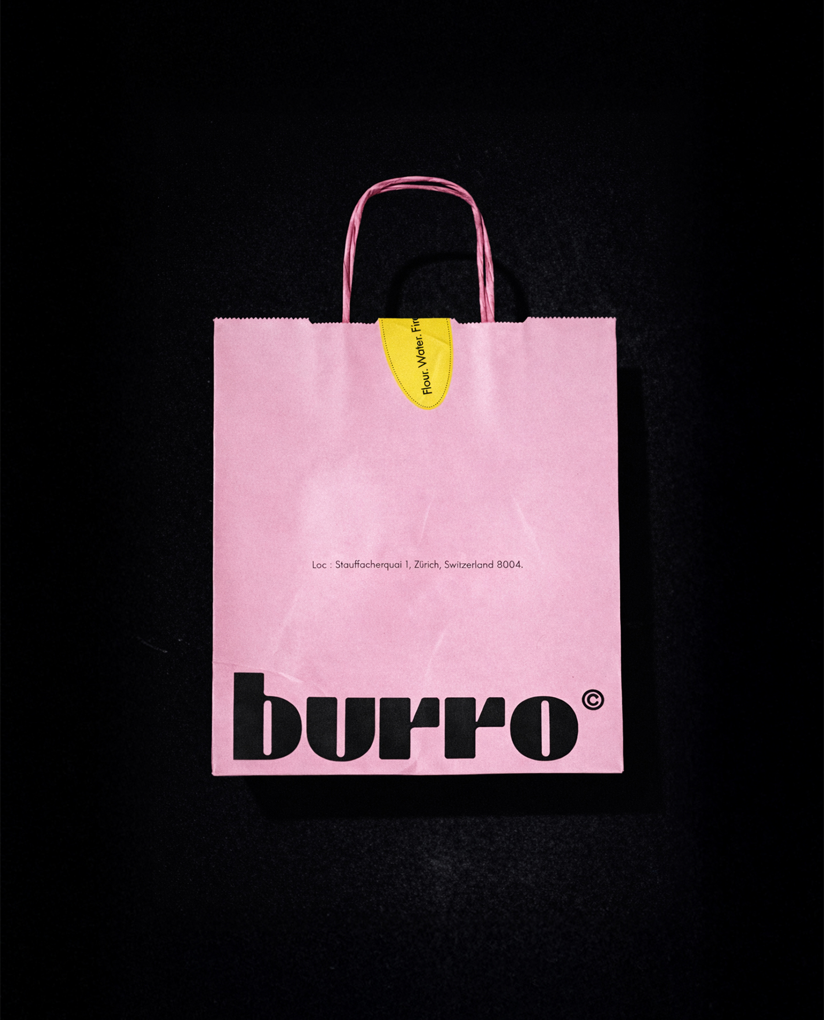 Burro Concept image 18