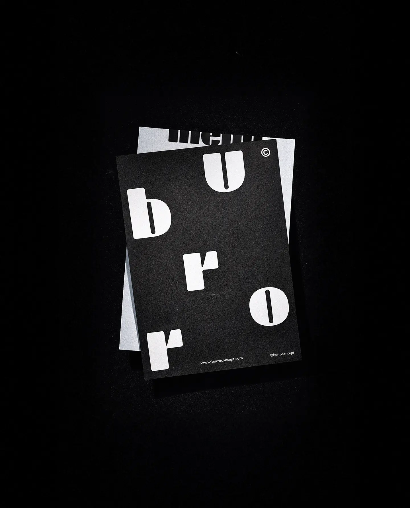 Burro Concept image 21
