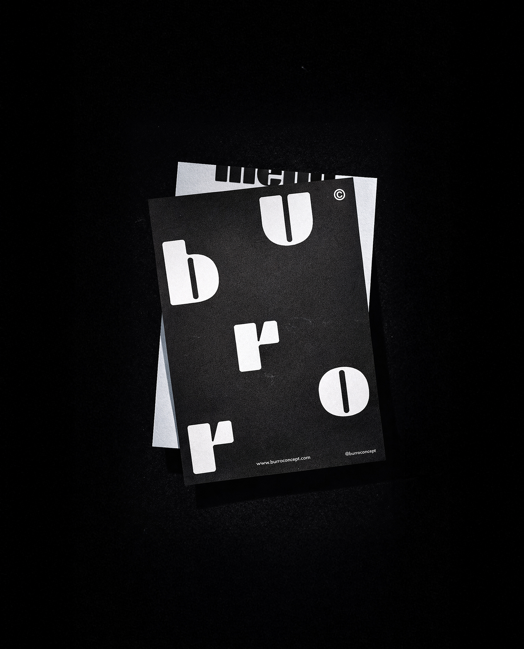Burro Concept image 21