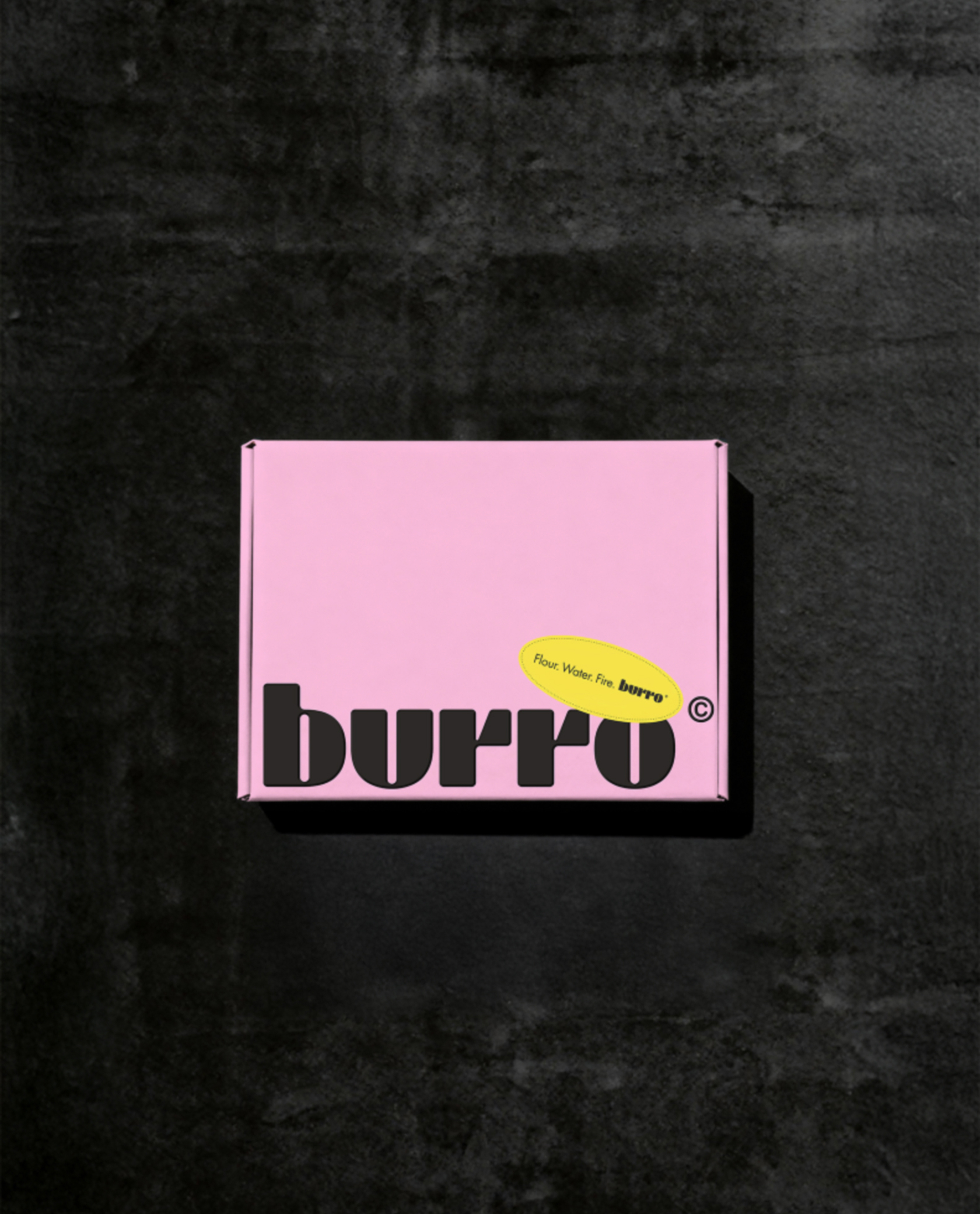 Burro Concept image 23