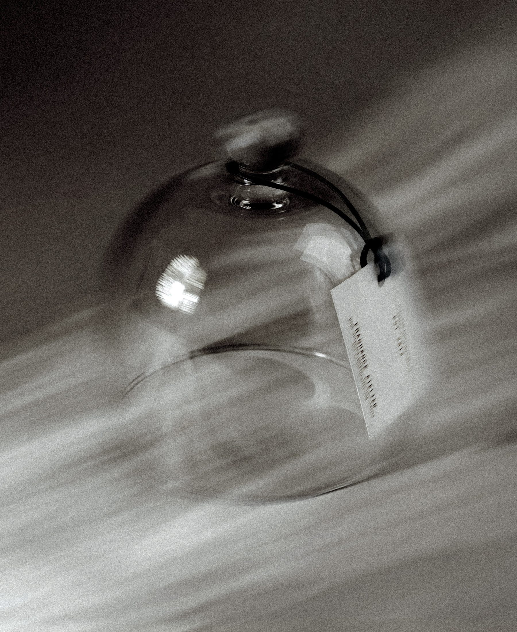Extract de Niche image 06