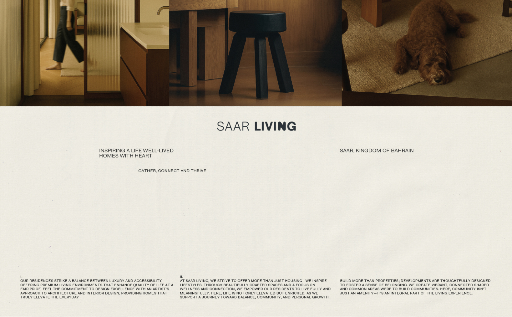 Living Saar image 20