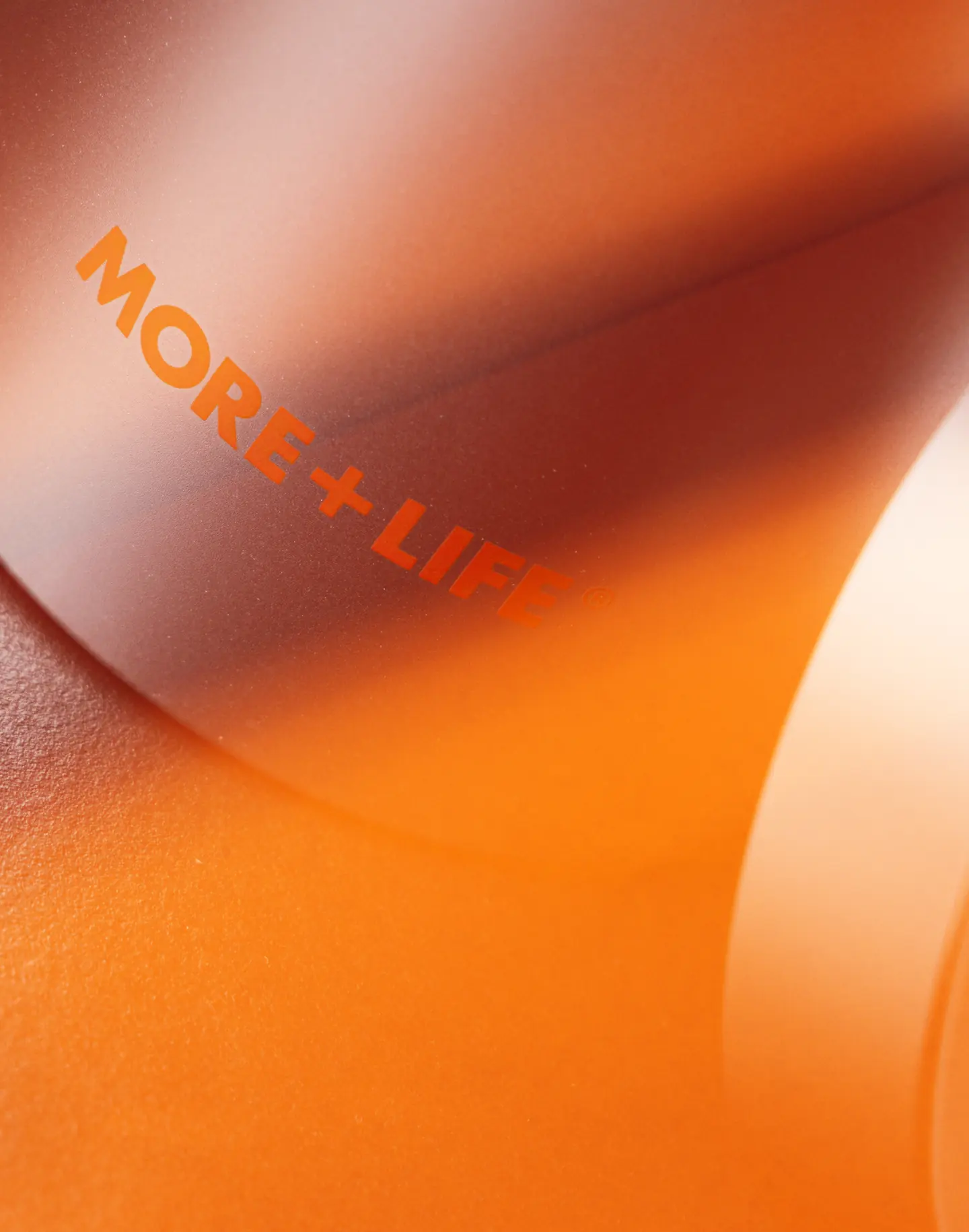 More Life image 12