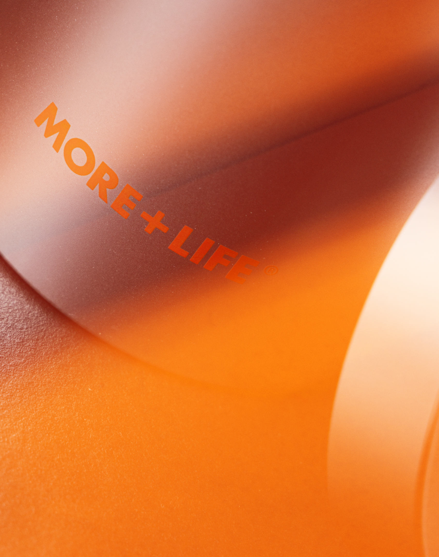 More Life image 12