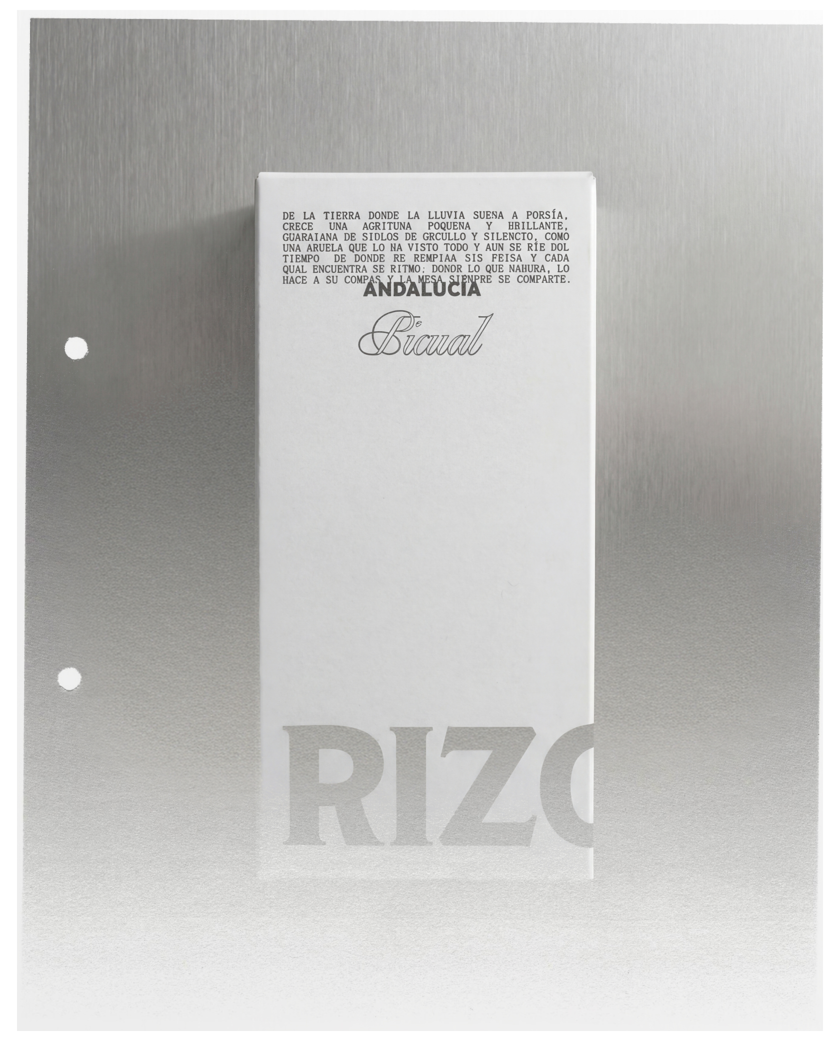 Rizoma image 03