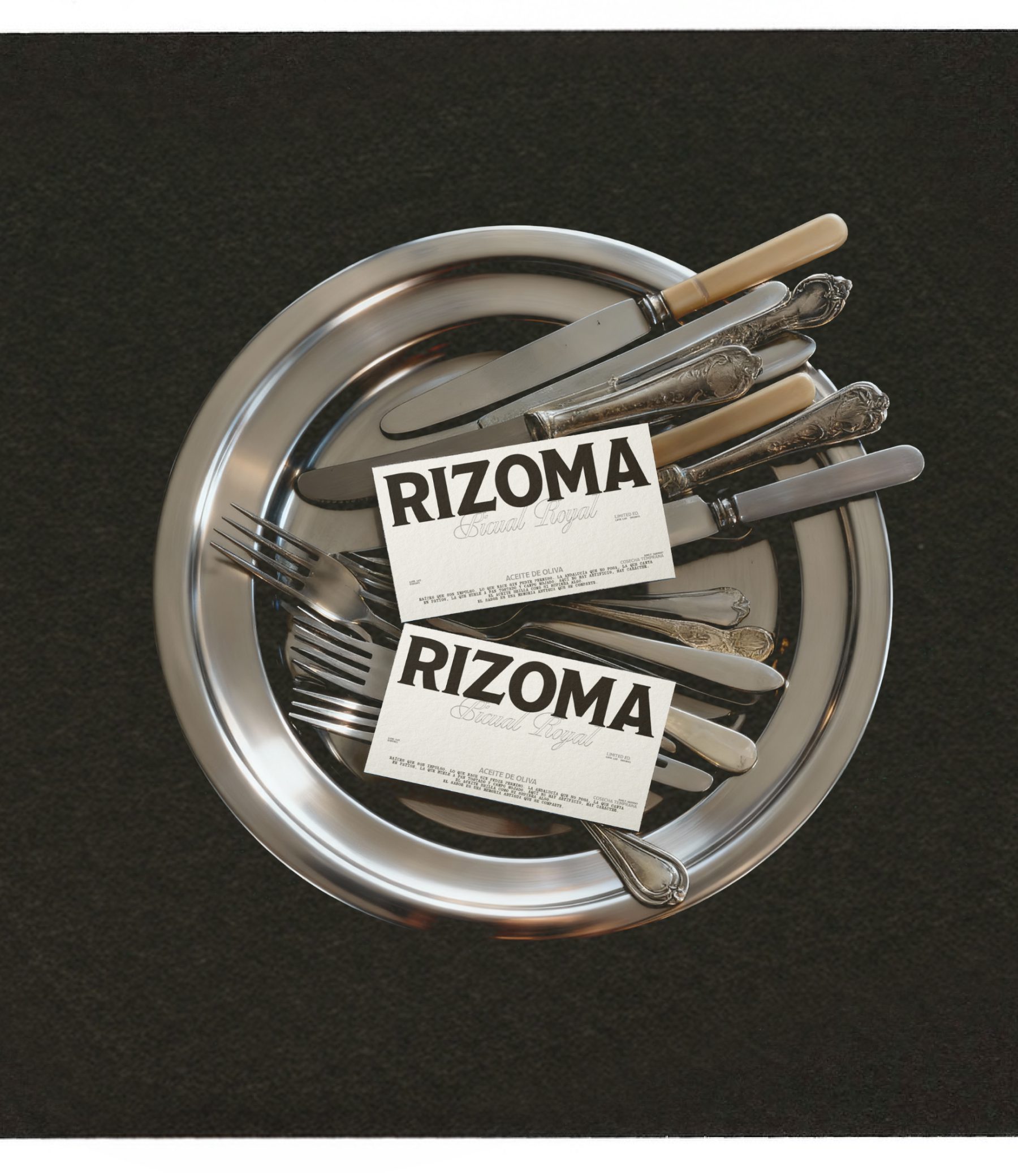 Rizoma image 04