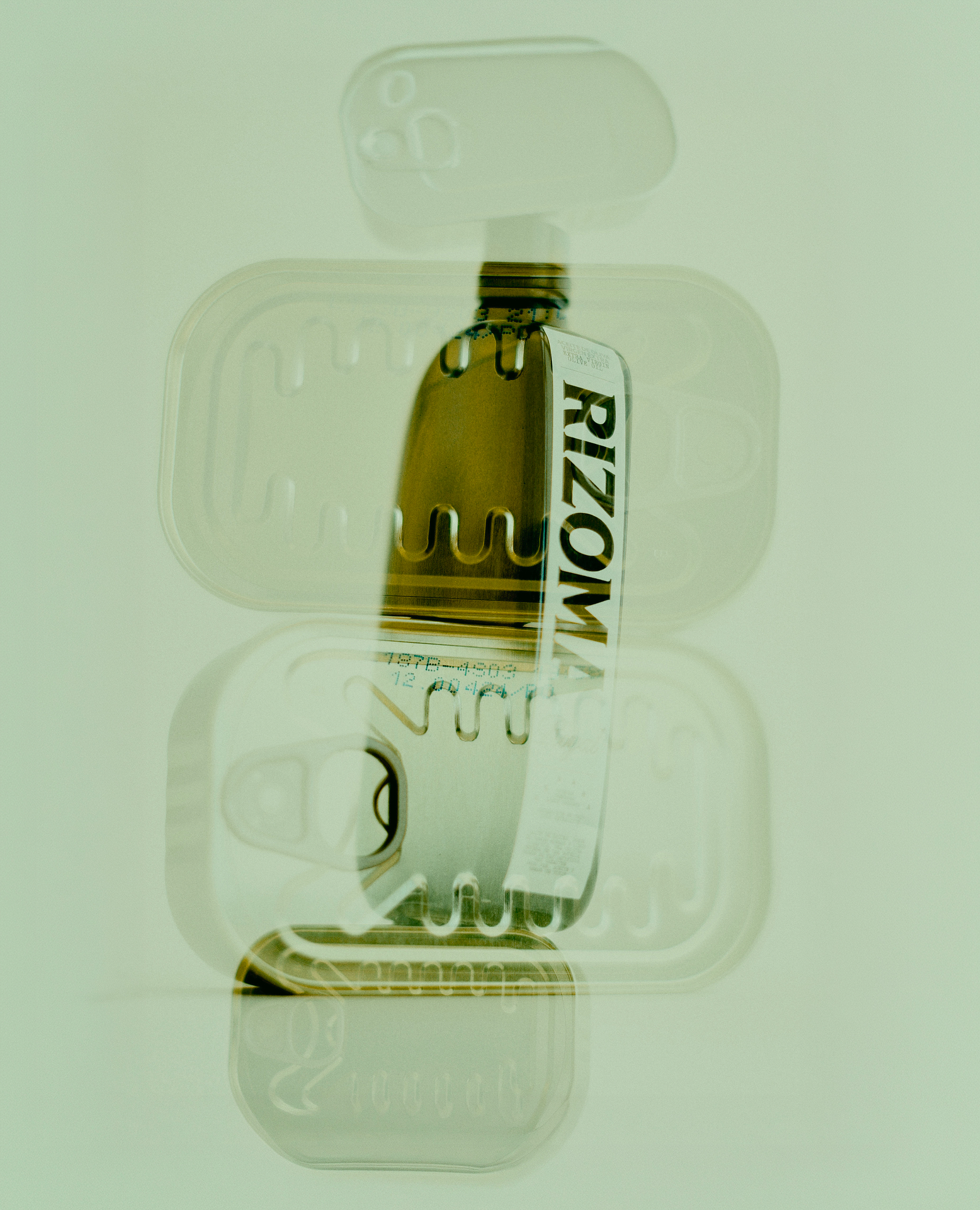 Rizoma image 12
