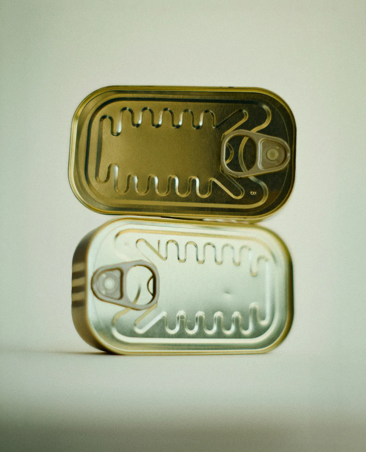 Rizoma, Olive Oil image 15