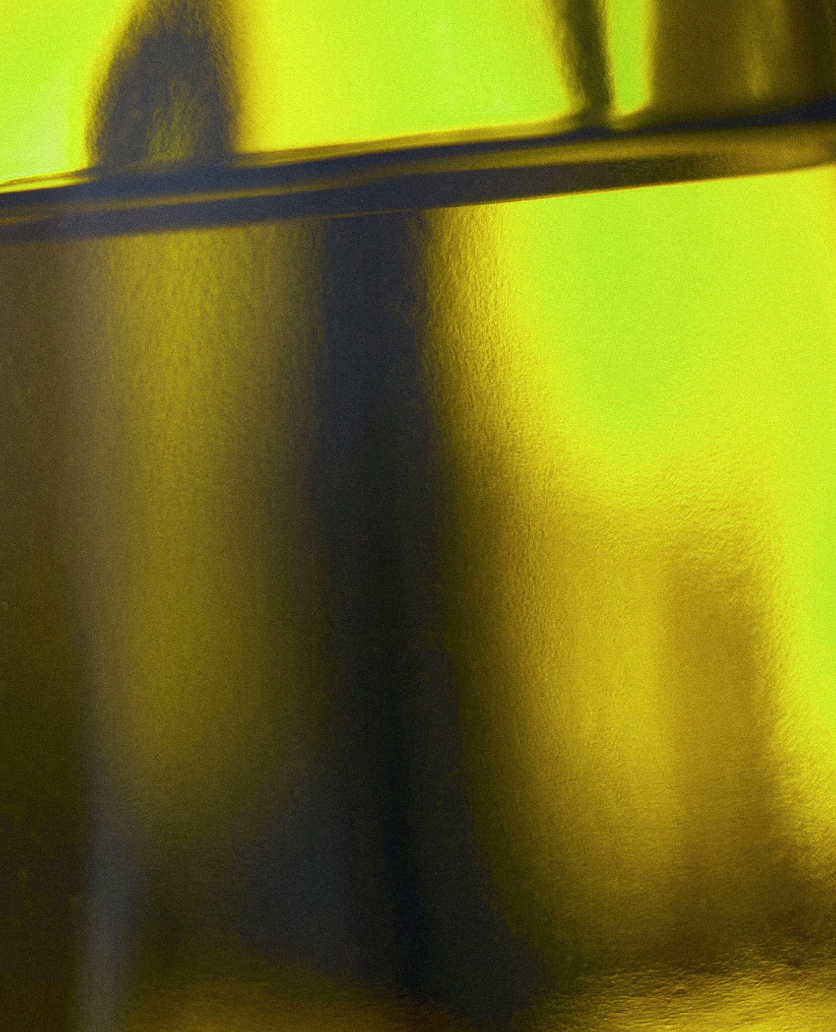 Rizoma image 16