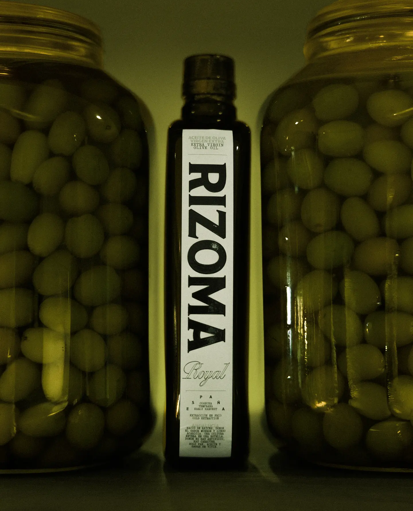 Rizoma, Olive Oil image 17