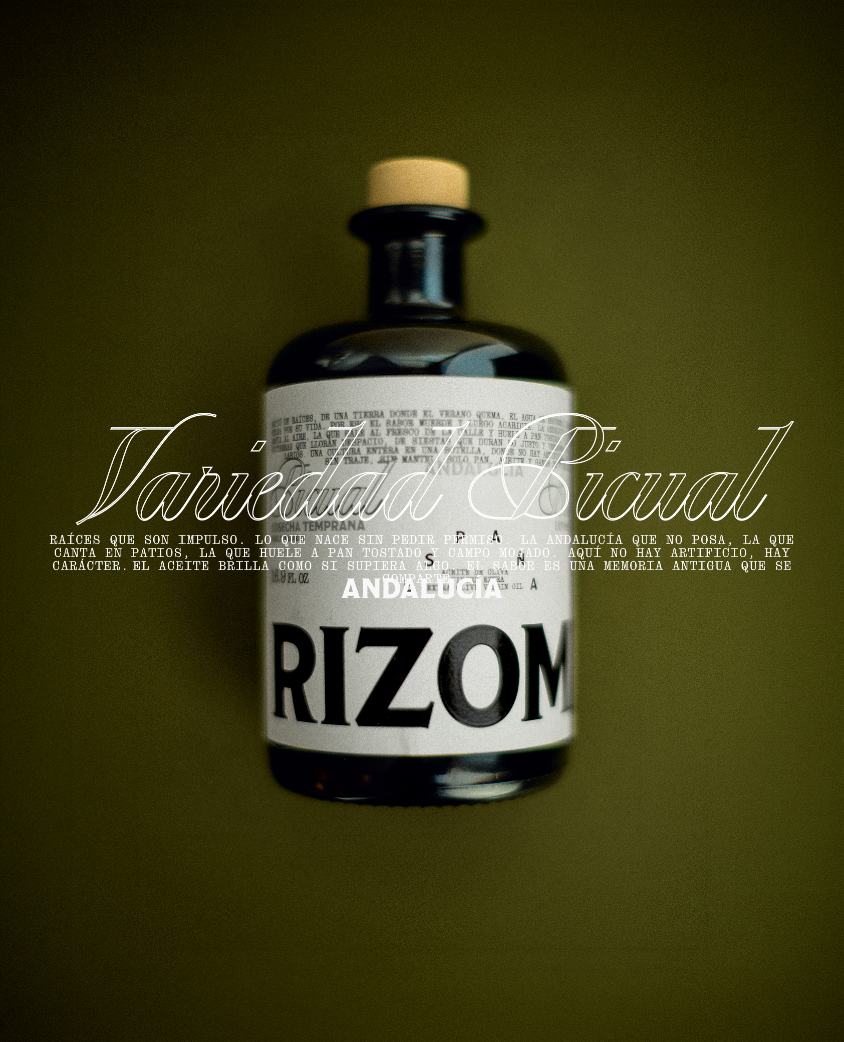 Rizoma, Olive Oil image 25