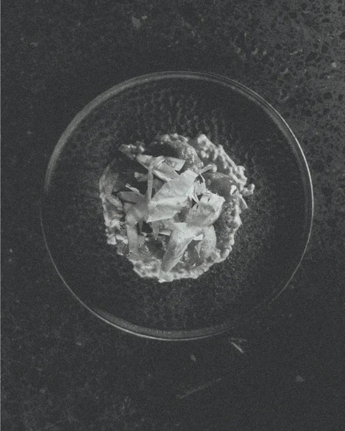 Daikan Ramen image 03