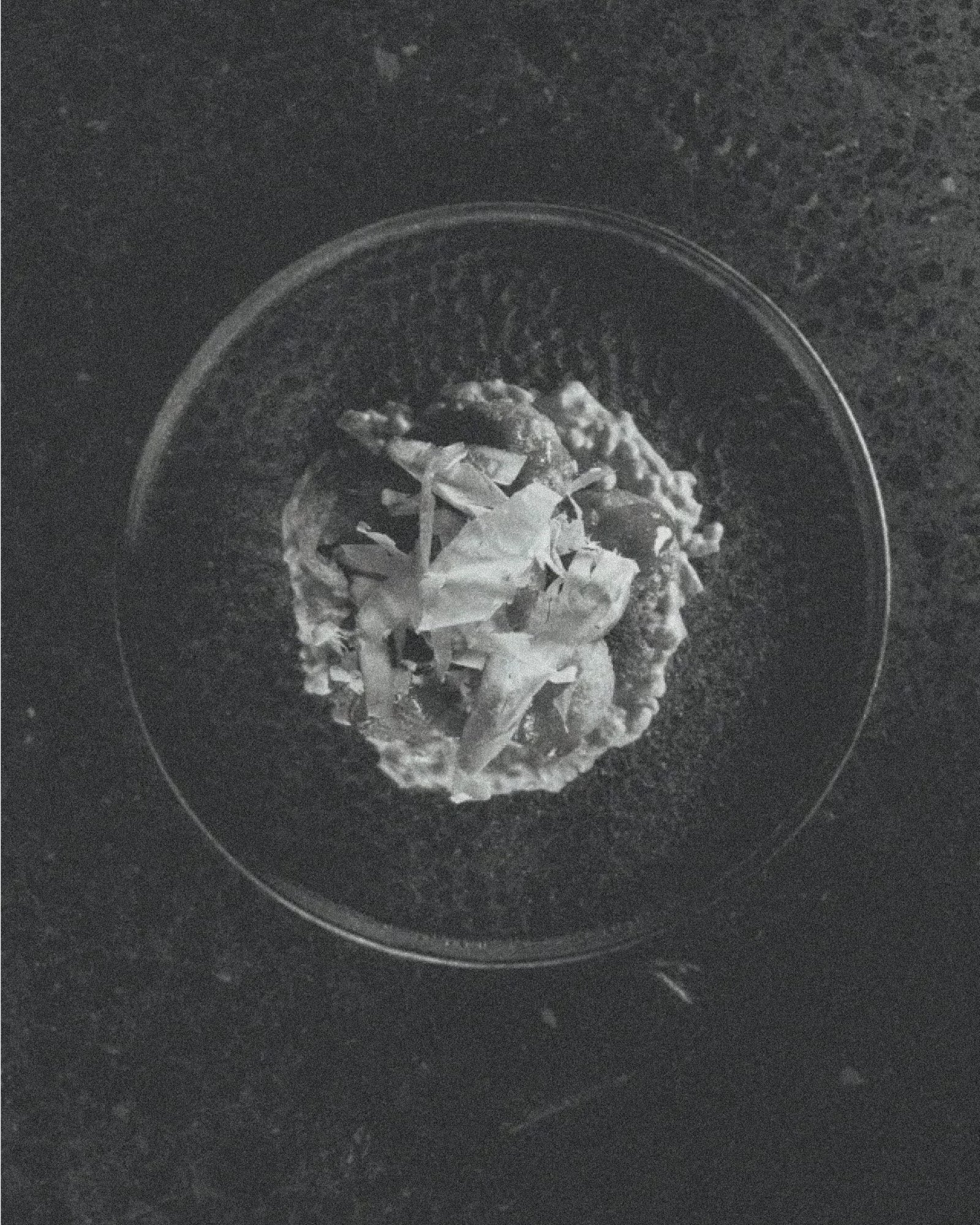 Daikan Ramen image 03