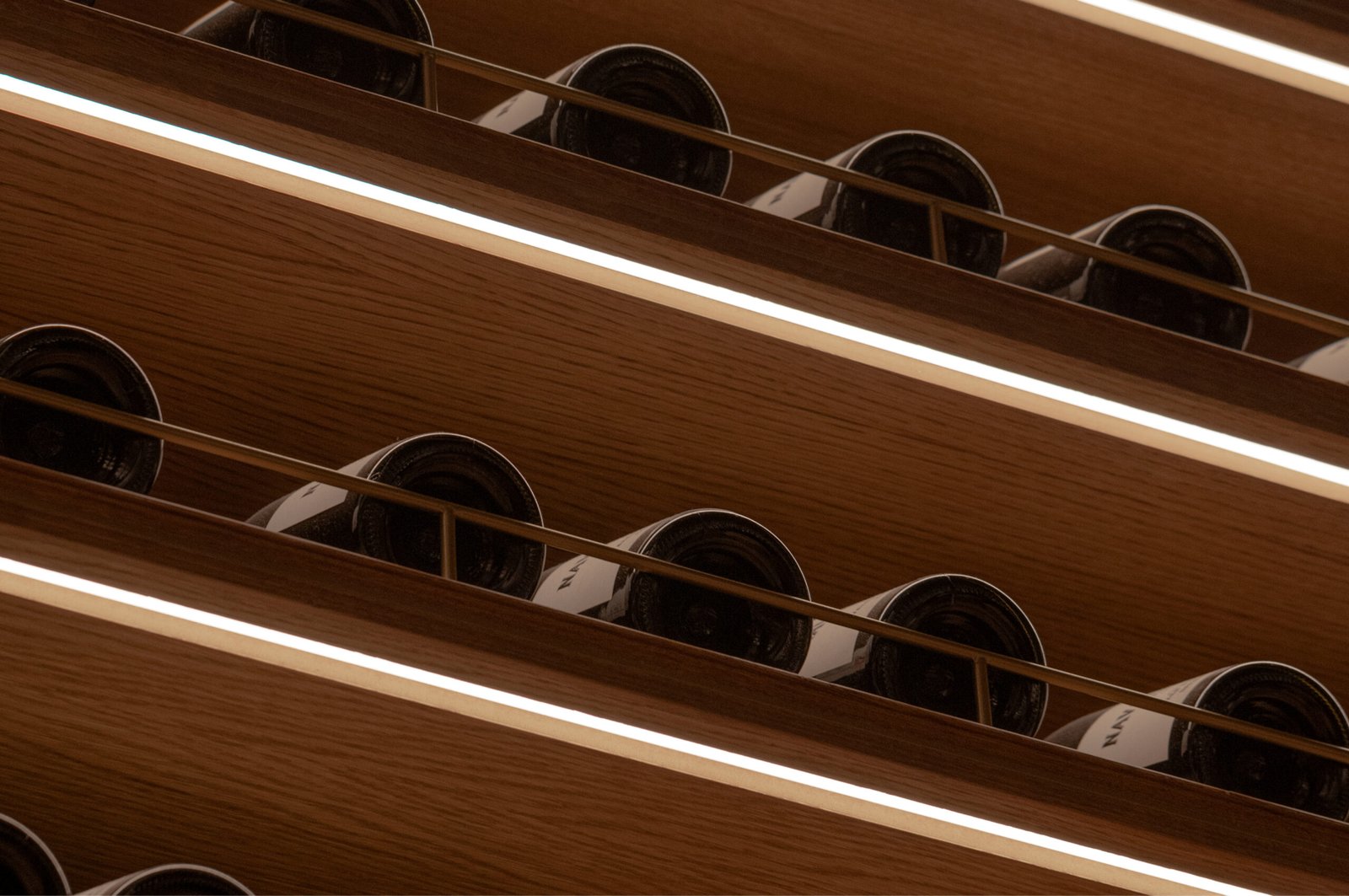 The Library, Dirección Creativa creative scroll image 05