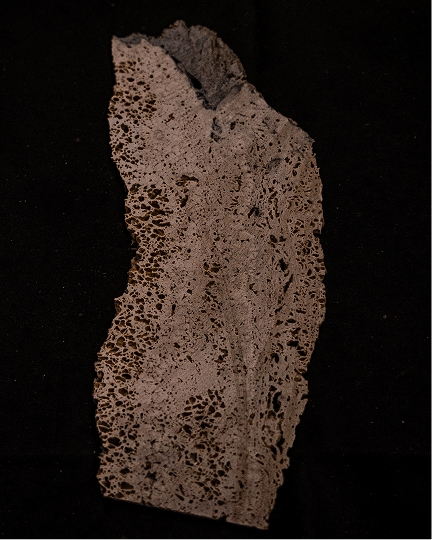 Kleos image 31