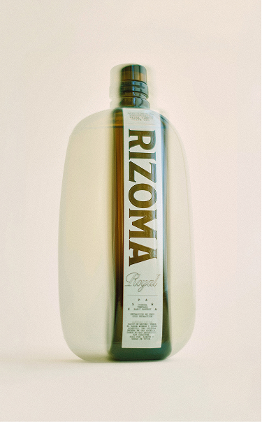 Rizoma, Creative Direction creative scroll image 03