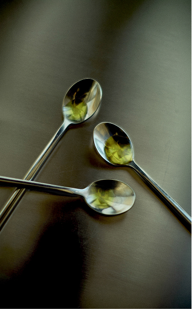 Rizoma, Creative Direction creative scroll image 04