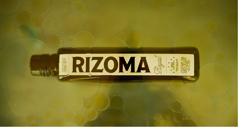 Rizoma, Creative Direction creative video still