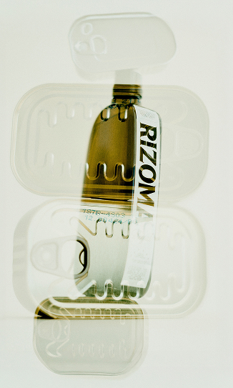Rizoma, Creative Direction image 01