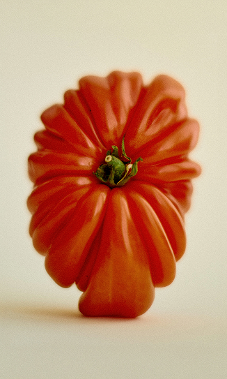 Rizoma, Creative Direction image 03