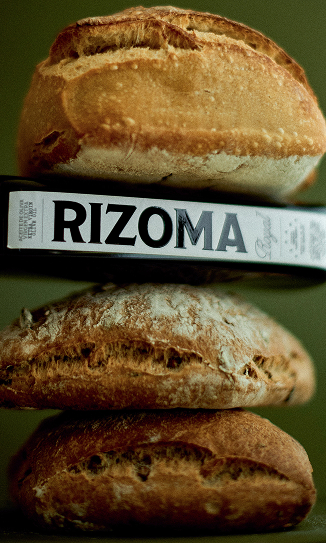 Rizoma, Creative Direction image 06
