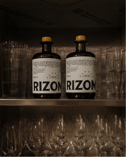 Rizoma, Creative Direction image 01