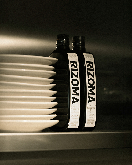 Rizoma, Creative Direction image 06