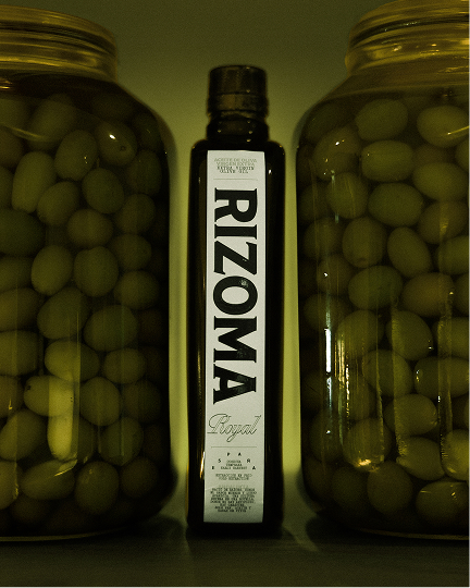 Rizoma, Creative Direction image 02