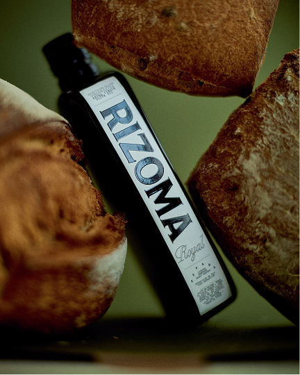 Rizoma, Creative Direction image 04