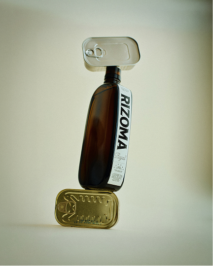 Rizoma, Creative Direction image 05