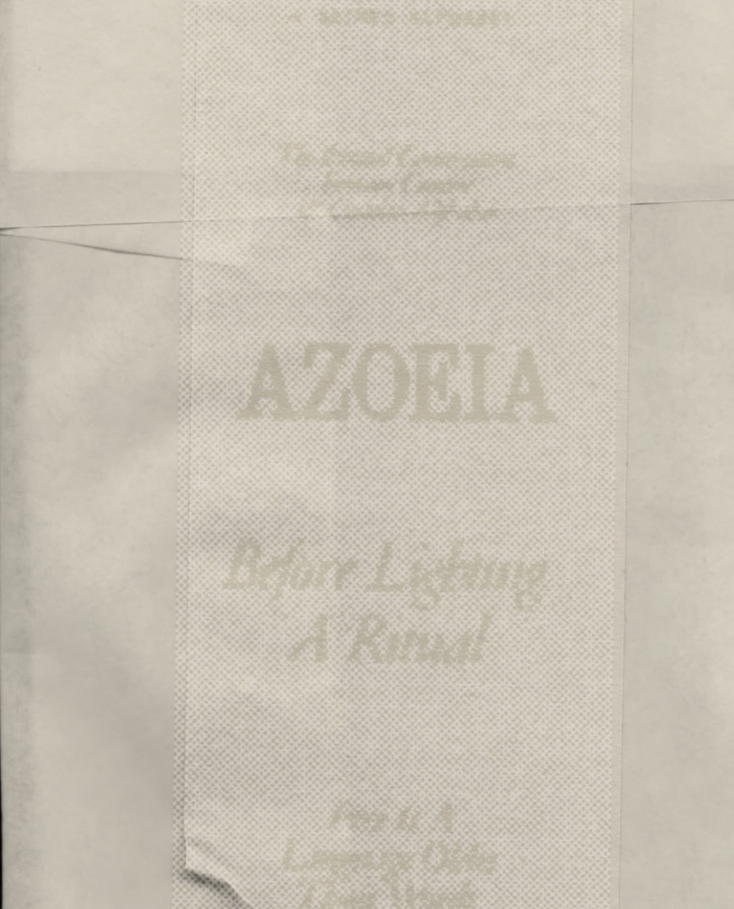 AZOEIA image 08