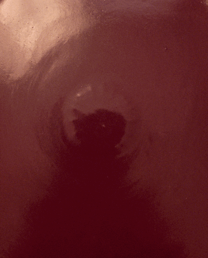 AZOEIA image 13