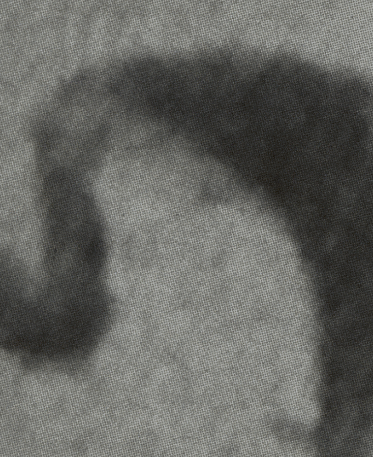 Black Paper image 05