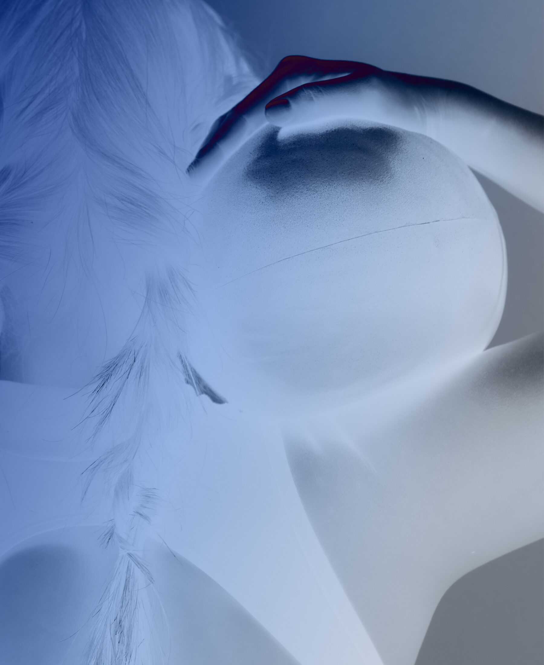 Abao Haus creative scroll image 03