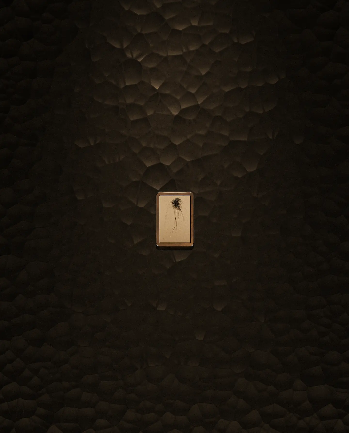 Murmur image 03