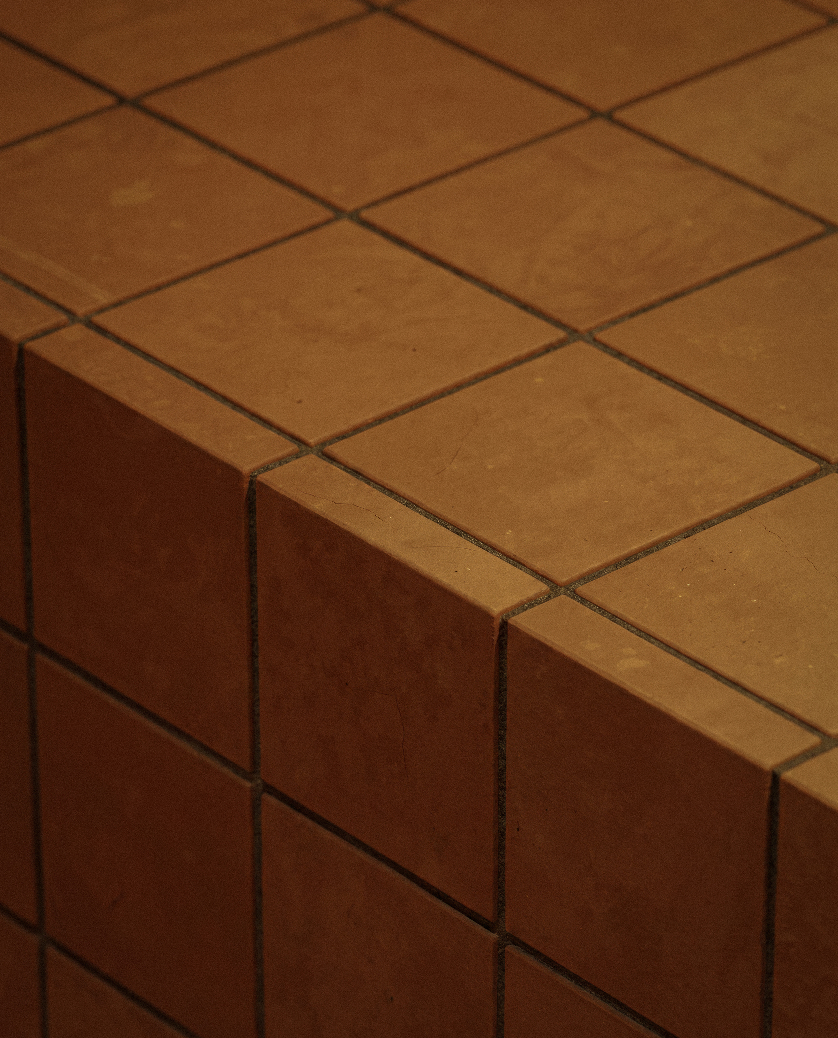 Murmur image 08