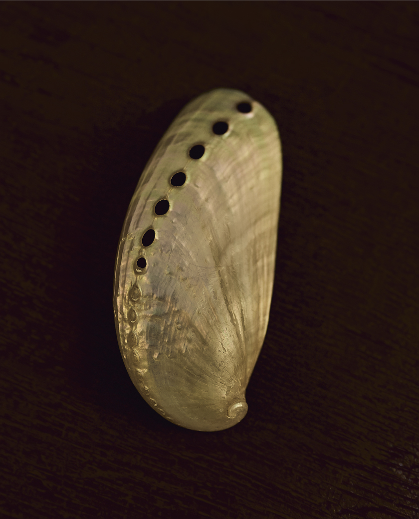 Tanita image 01