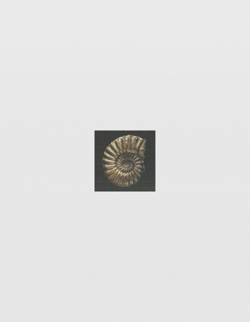 Tanita image 01