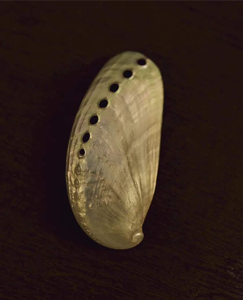 Tanita image 04