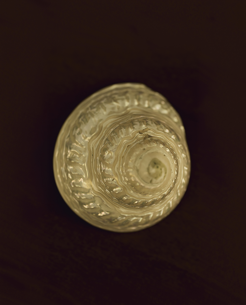 Tanita image 03