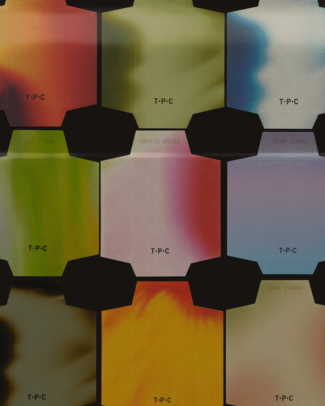 TPC The Perfume Connection image 02