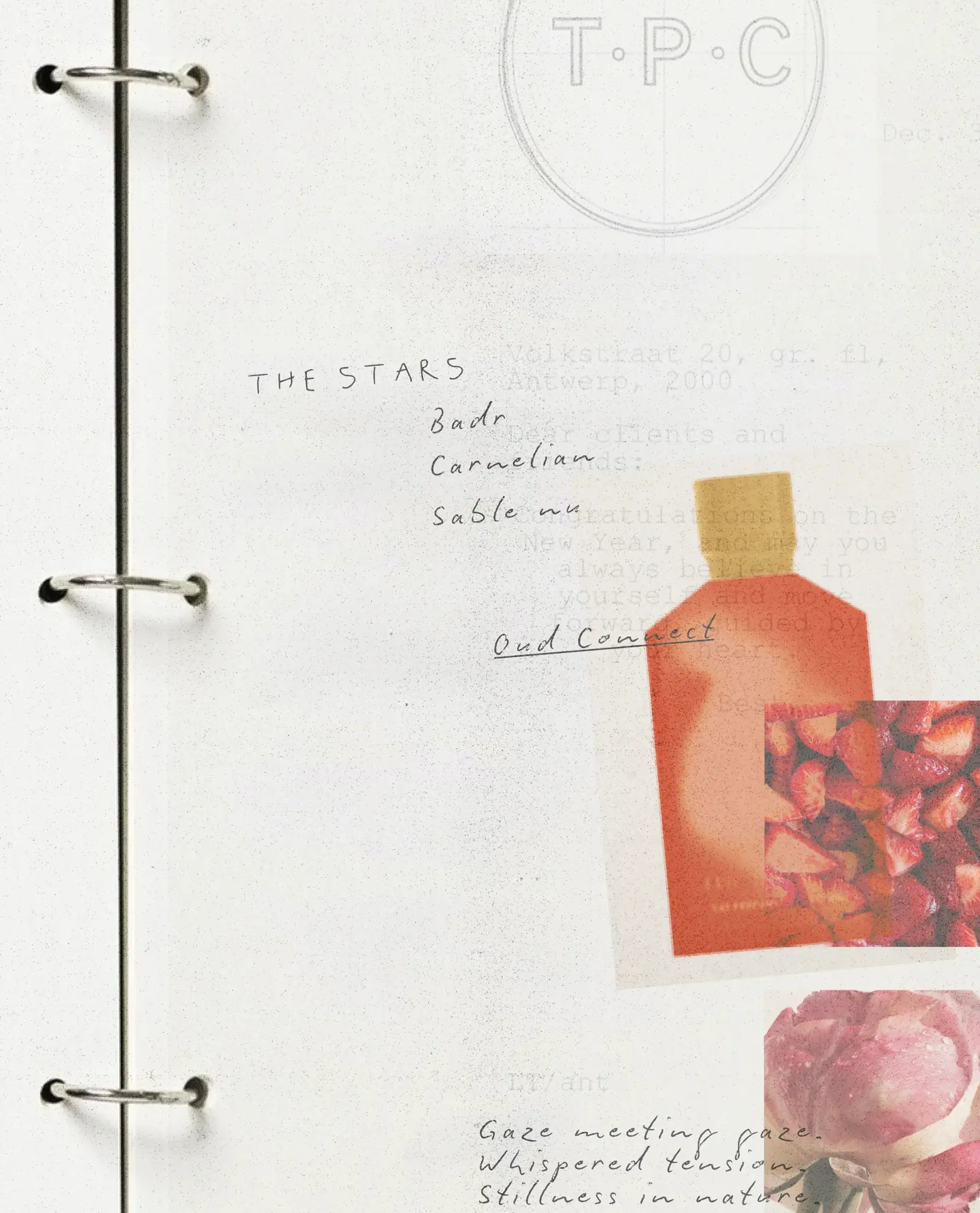 TPC The Perfume Connection image 08