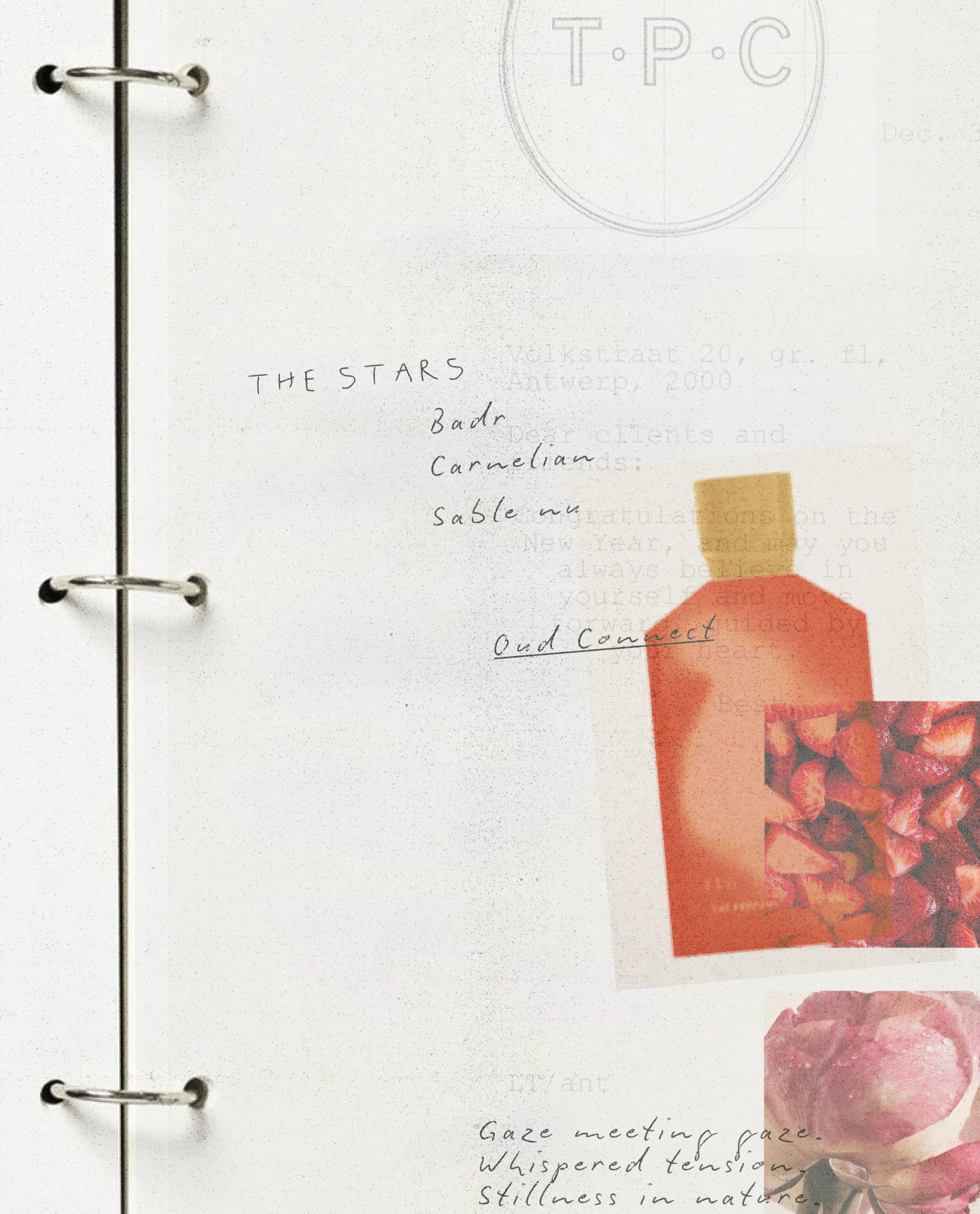 TPC The Perfume Connection image 08